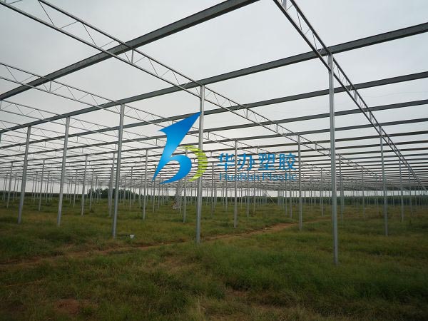 連云港東海縣雙店鎮溫室大棚PC陽光板